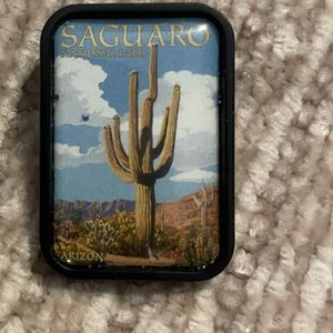 Saguaro National Park pin